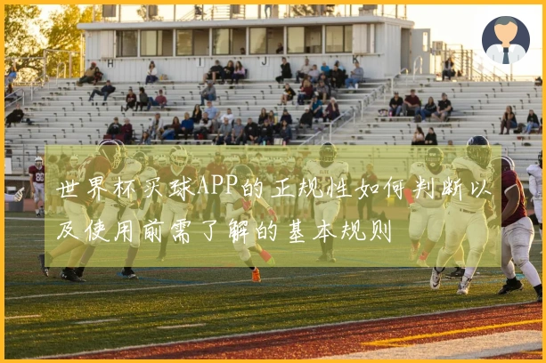 世界杯买球APP的正规性如何判断以及使用前需了解的基本规则