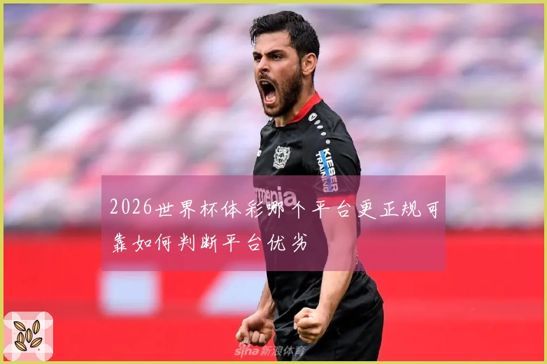2026世界杯体彩哪个平台更正规可靠如何判断平台优劣