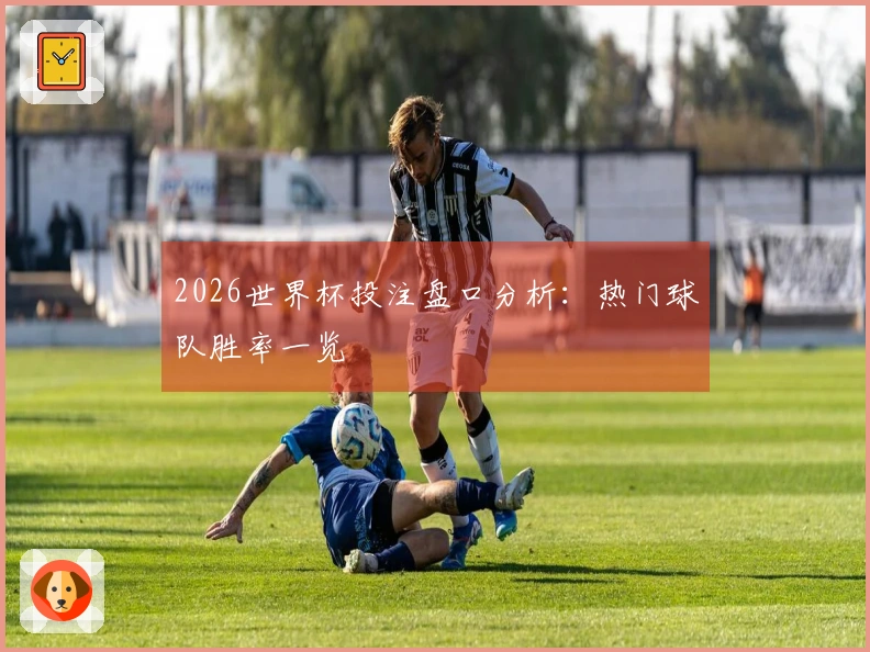 2026世界杯投注盘口分析：热门球队胜率一览