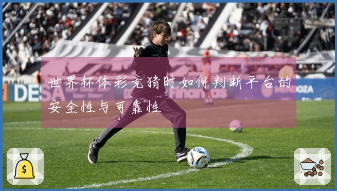 世界杯体彩竞猜时如何判断平台的安全性与可靠性