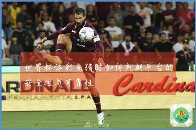 世界杯体彩竞猜时如何判断平台的安全性与可靠性