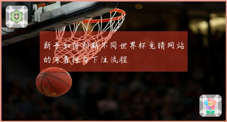 新手如何判断不同世界杯竞猜网站的可靠性与下注流程