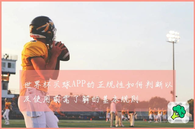 世界杯买球APP的正规性如何判断以及使用前需了解的基本规则